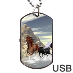 Beautiful Horses Running In A River Dog Tag Usb Flash (two Sides)  by FantasyWorld7