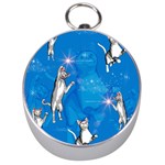 Funny, Cute Playing Cats With Stras Silver Compasses Front