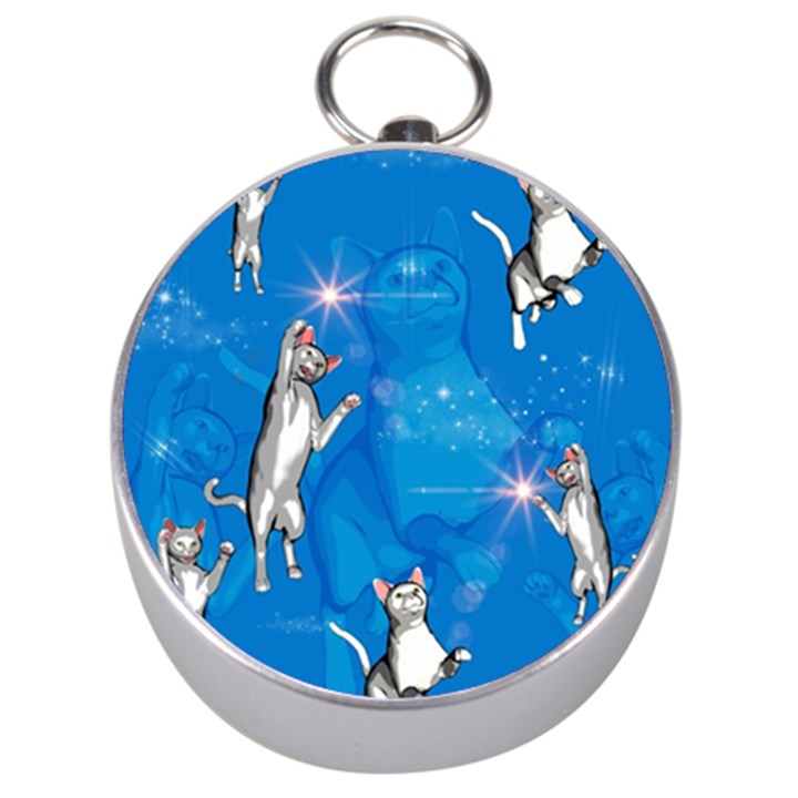 Funny, Cute Playing Cats With Stras Silver Compasses