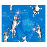 Funny, Cute Playing Cats With Stras Double Sided Flano Blanket (Small)  50 x40  Blanket Front