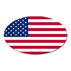 Usa1 Oval Magnet