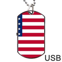 Usa1 Dog Tag Usb Flash (two Sides) 