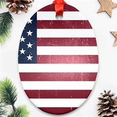 Usa3 Ornament (oval) 