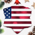 Usa9999 Ornament (Snowflake)  Front