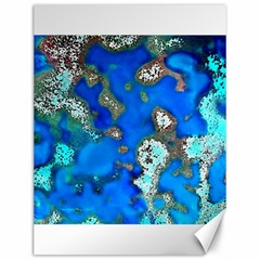 Cocos Reef Sinkholes Canvas 12  X 16   by CocosBlue