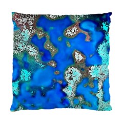 Cocos Reef Sinkholes Standard Cushion Cases (two Sides)  by CocosBlue