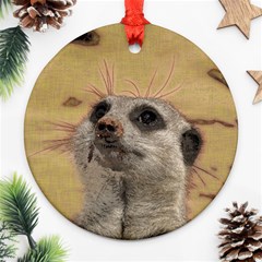 Meerkat 2 Ornament (round)  by ImpressiveMoments