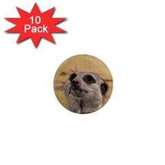 Meerkat 2 1  Mini Magnet (10 Pack)  by ImpressiveMoments