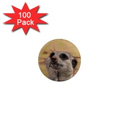 Meerkat 2 1  Mini Magnets (100 Pack)  by ImpressiveMoments