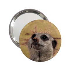 Meerkat 2 2 25  Handbag Mirrors