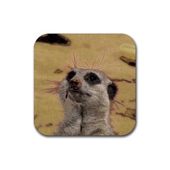 Meerkat 2 Rubber Coaster (square)  by ImpressiveMoments