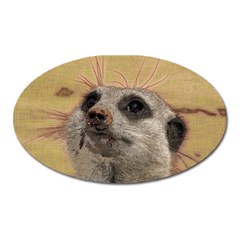 Meerkat 2 Oval Magnet