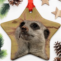 Meerkat 2 Star Ornament (two Sides)  by ImpressiveMoments