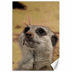 Meerkat 2 Canvas 20  X 30  