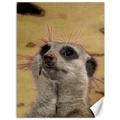 Meerkat 2 Canvas 36  X 48   by ImpressiveMoments