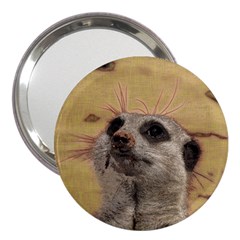 Meerkat 2 3  Handbag Mirrors