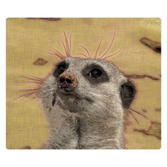 Meerkat 2 Double Sided Flano Blanket (small) 