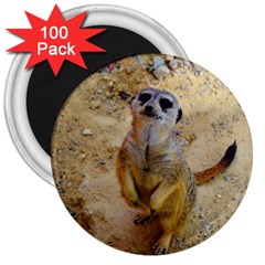 Lovely Meerkat 515p 3  Magnets (100 Pack) by ImpressiveMoments