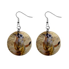 Lovely Meerkat 515p Mini Button Earrings