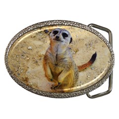 Lovely Meerkat 515p Belt Buckles