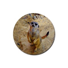 Lovely Meerkat 515p Rubber Round Coaster (4 Pack)  by ImpressiveMoments