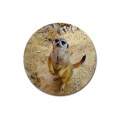 Lovely Meerkat 515p Magnet 3  (round)