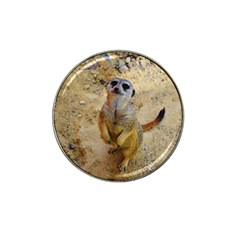 Lovely Meerkat 515p Hat Clip Ball Marker (4 Pack)