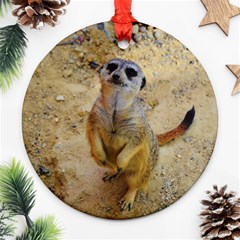 Lovely Meerkat 515p Round Ornament (two Sides)  by ImpressiveMoments