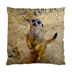 Lovely Meerkat 515p Standard Cushion Case (one Side) 