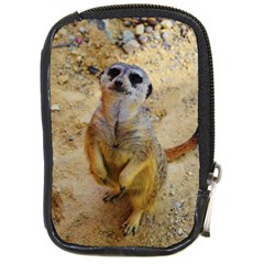 Lovely Meerkat 515p Compact Camera Cases