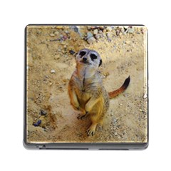 Lovely Meerkat 515p Memory Card Reader (square)