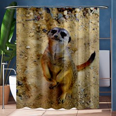 Lovely Meerkat 515p Shower Curtain 60  X 72  (medium) 