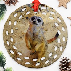 Lovely Meerkat 515p Ornament (round Filigree) 