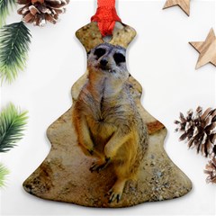 Lovely Meerkat 515p Christmas Tree Ornament (2 Sides) by ImpressiveMoments