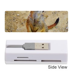 Lovely Meerkat 515p Memory Card Reader (stick) 