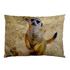 Lovely Meerkat 515p Pillow Cases (two Sides) by ImpressiveMoments