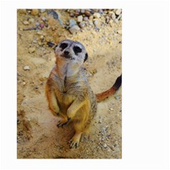 Lovely Meerkat 515p Large Garden Flag (two Sides)