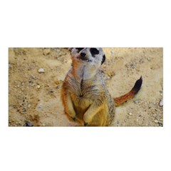 Lovely Meerkat 515p Satin Shawl