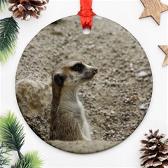 Adorable Meerkat Ornament (round)  by ImpressiveMoments