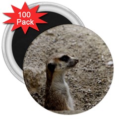 Adorable Meerkat 3  Magnets (100 Pack) by ImpressiveMoments