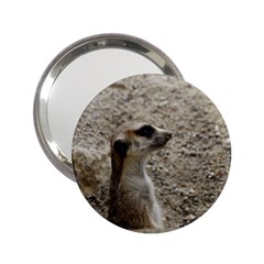 Adorable Meerkat 2 25  Handbag Mirrors