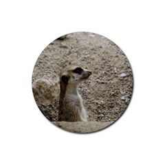 Adorable Meerkat Rubber Coaster (round) 