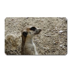 Adorable Meerkat Magnet (rectangular)