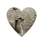 Adorable Meerkat Heart Magnet Front