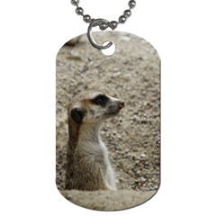 Adorable Meerkat Dog Tag (two Sides) by ImpressiveMoments