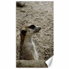 Adorable Meerkat Canvas 40  X 72  