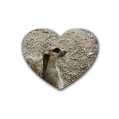 Adorable Meerkat Heart Coaster (4 Pack)  by ImpressiveMoments