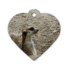 Adorable Meerkat Dog Tag Heart (two Sides) by ImpressiveMoments