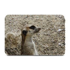 Adorable Meerkat Plate Mats