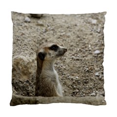 Adorable Meerkat Standard Cushion Cases (two Sides) 